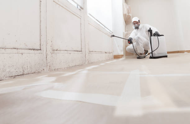24/7 Emergency Mold Remediation experts in Pope Army Airfield, NC