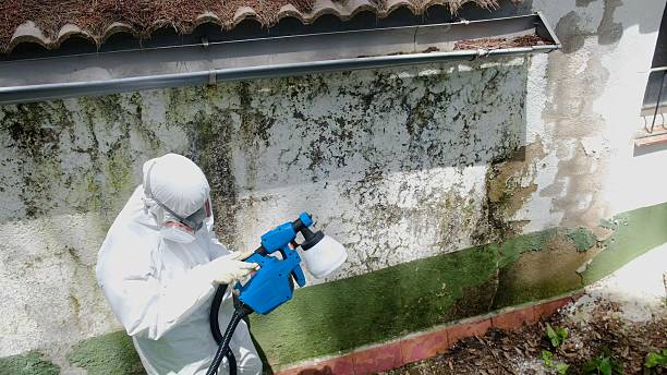 Top rated local Mold Remediation specialists in Pope Army Airfield, NC